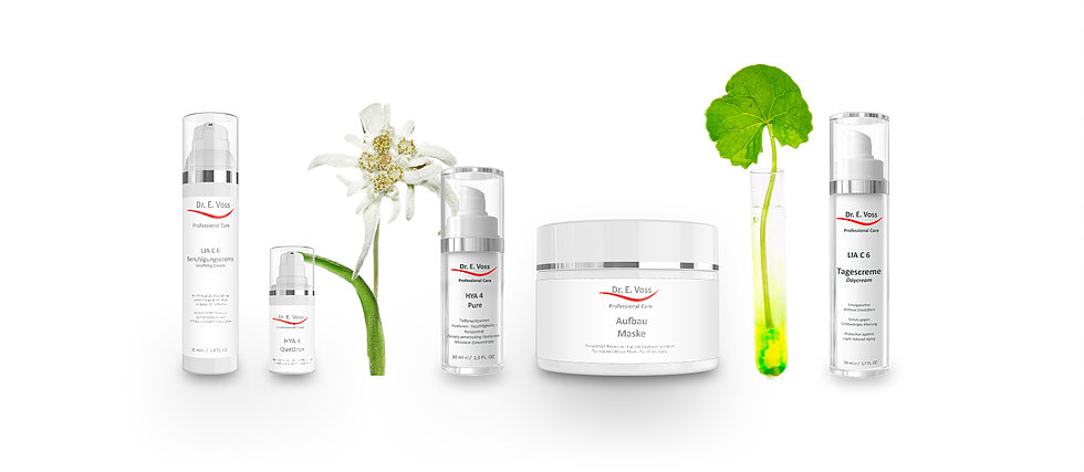 DR Voss Produkte
